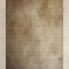Ellora - Printed Backdrop - Fabric - 8 by 12 feet | D799