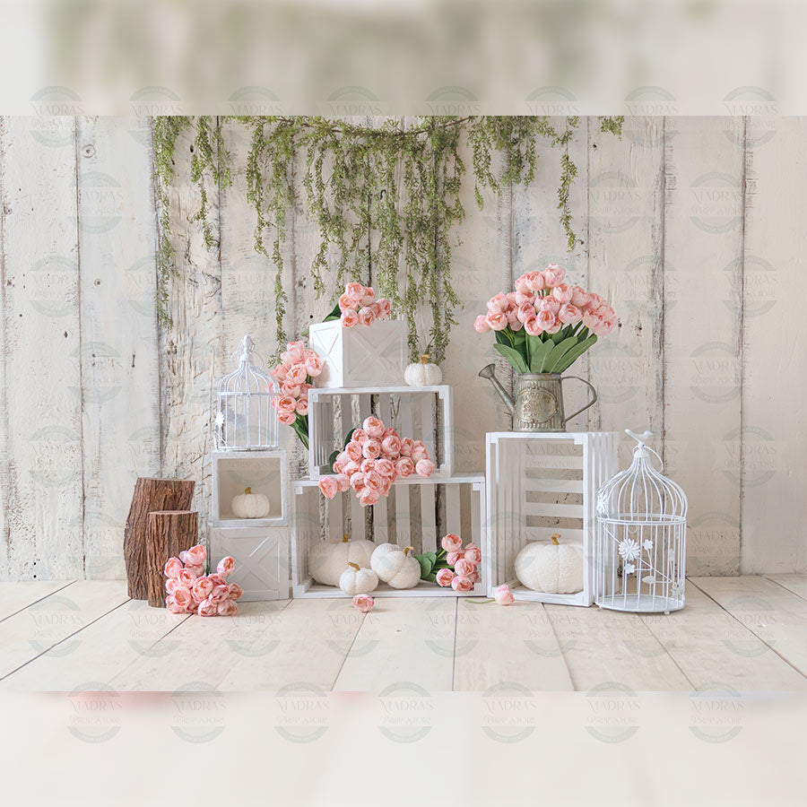 backgrounds for kids photo editing