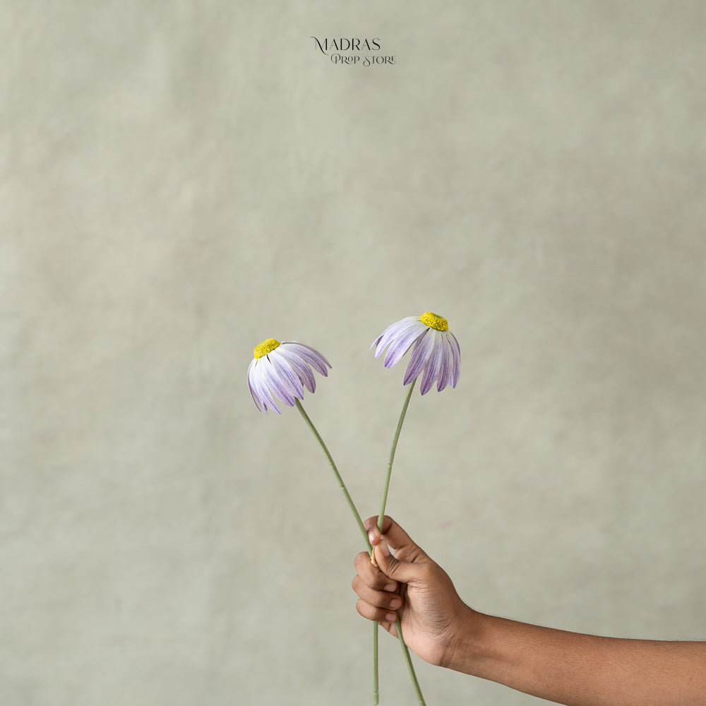 Flowers Set of 2 013 ( Only For Self Pickup ) : Baby Props