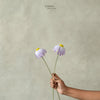 Flowers Set of 2 013 ( Only For Self Pickup )