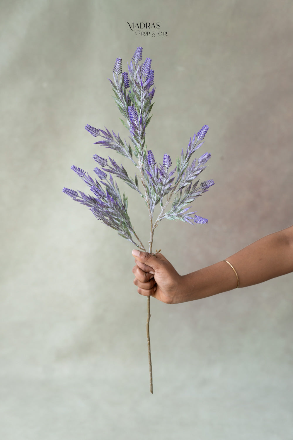 Frosted Lavender Bloom : Baby Props
