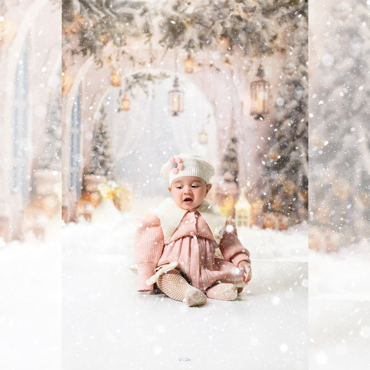 Frosted Fairytale : Maternity Backdrops