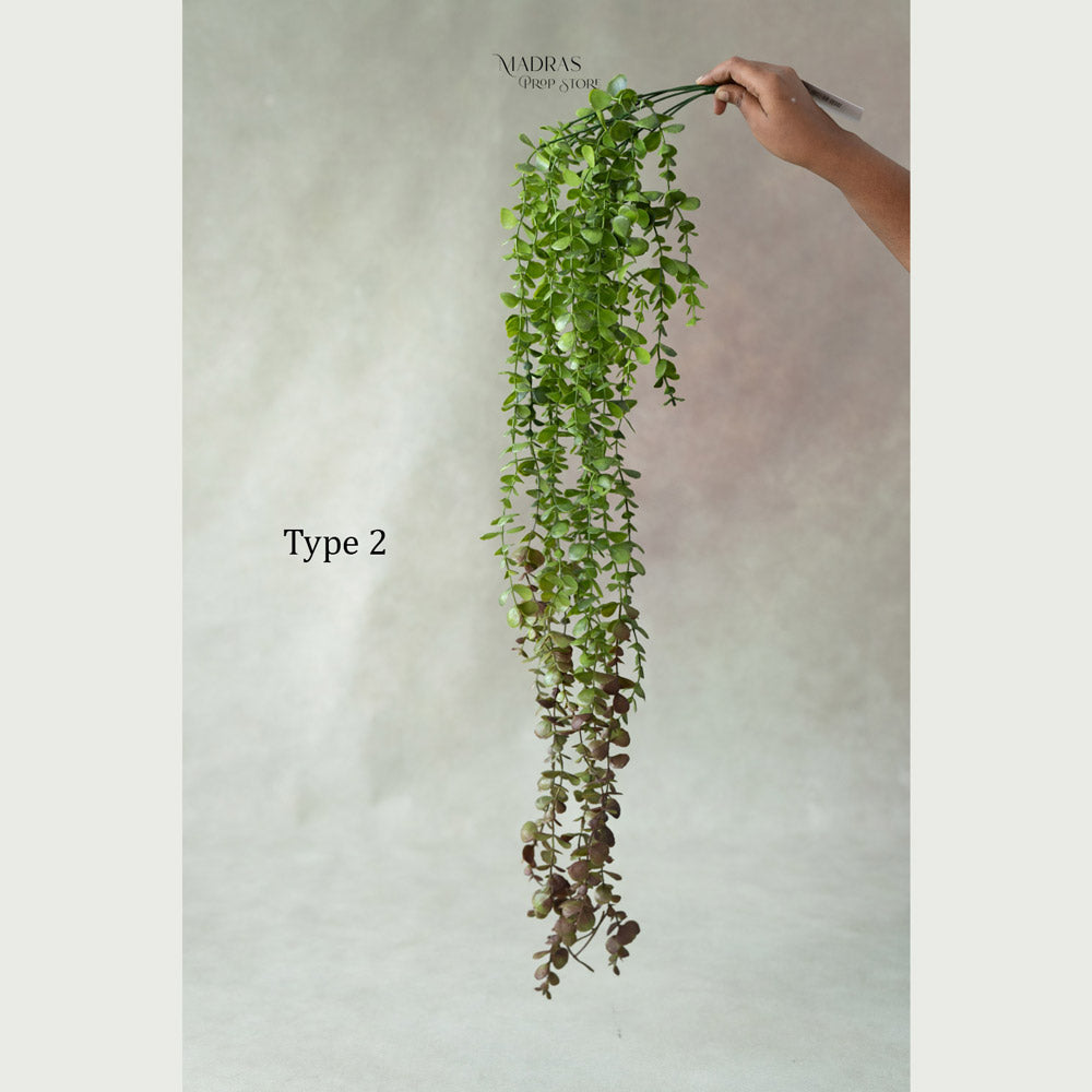 Frosty Foliage : Baby Props