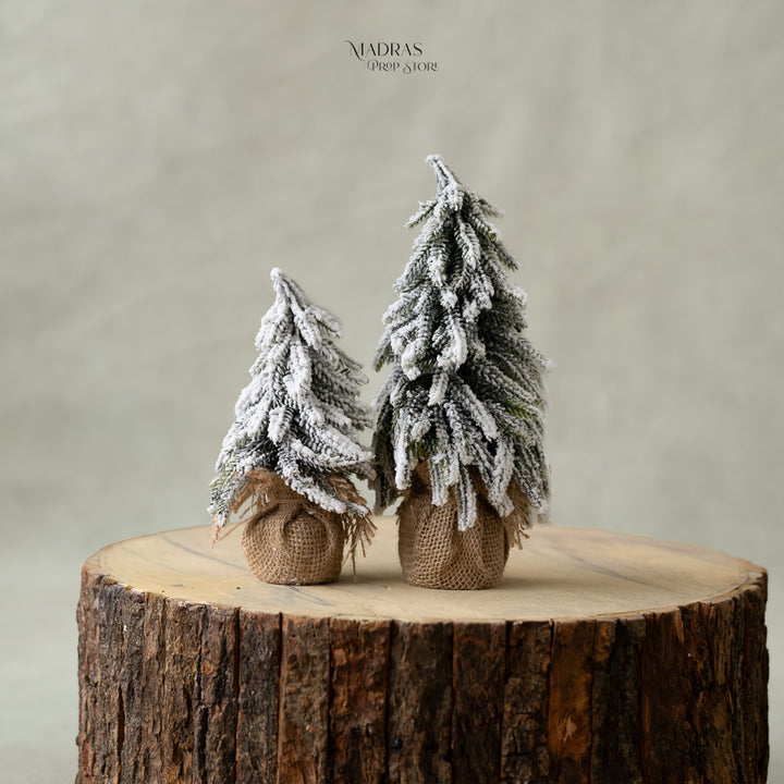 Frosty Xmas Tree Set of 2 : Baby Props