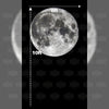 Full Moon - Printed Backdrop - Fabric - 6 by 10 Feet