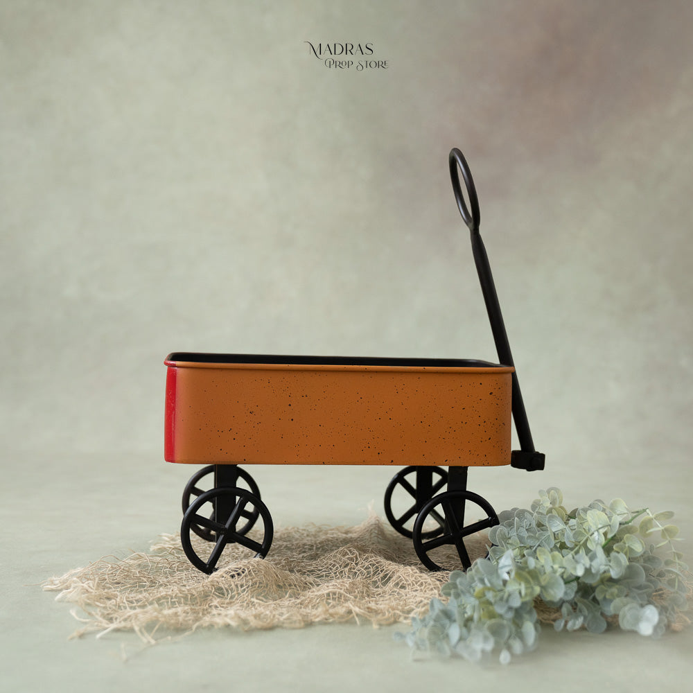 Gorilla cart : Baby Props