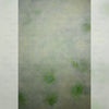 Green Dust - Painted Food Backdrops