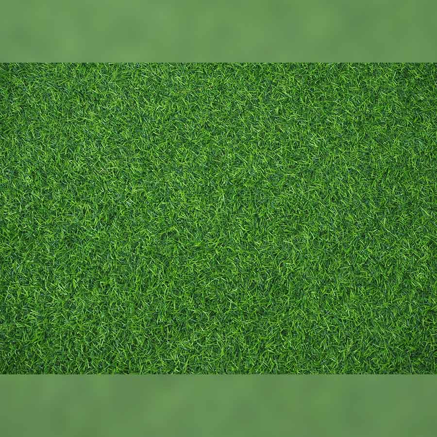 Green Grass Mat Printed Floor : Baby Backdrops