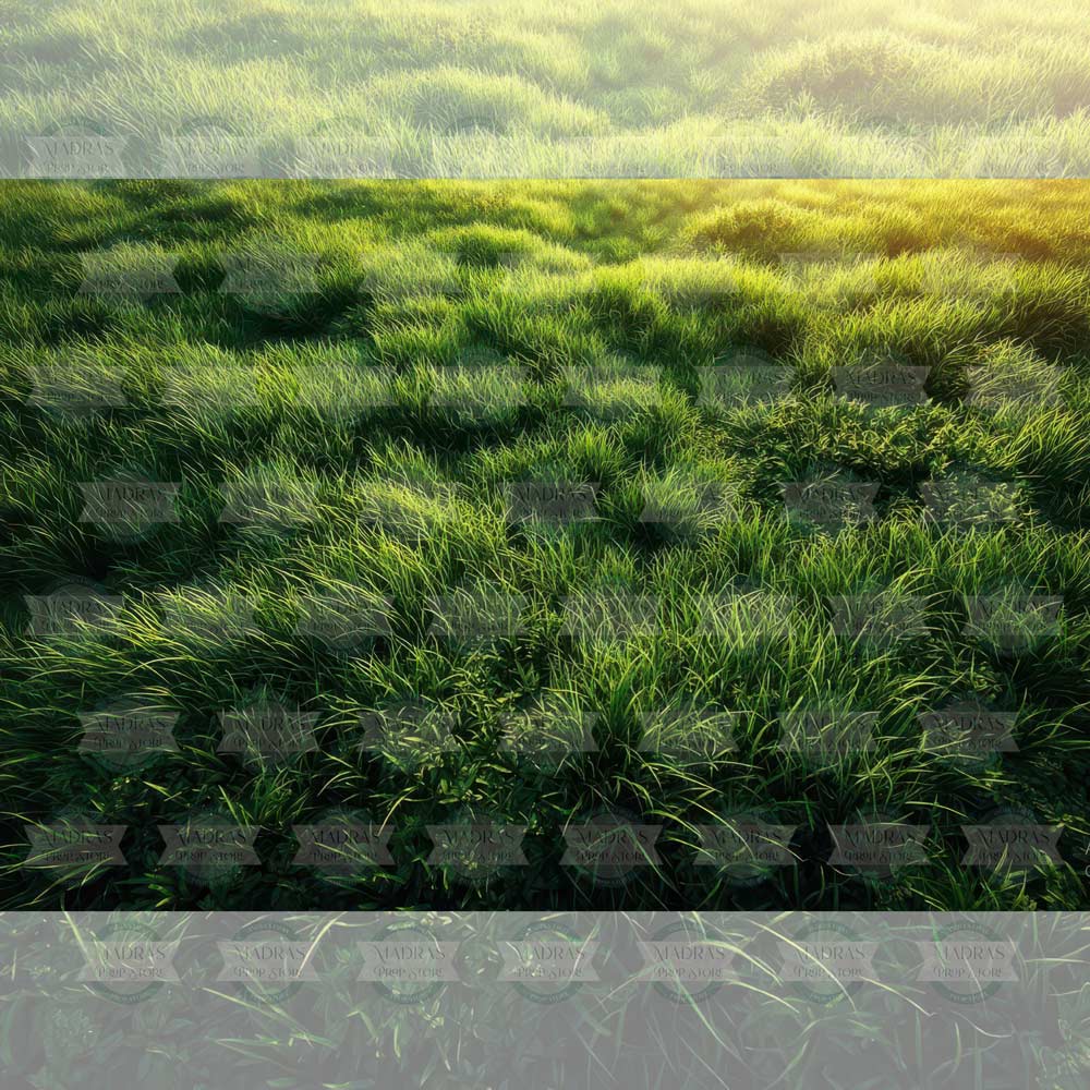 Green Trails : Baby Backdrops