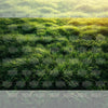 Green Trails - Baby Printed Backdrops