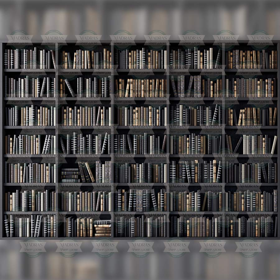 Library Grayscale Grey Library - Baby Printed Backdrops โ Madras Prop Store