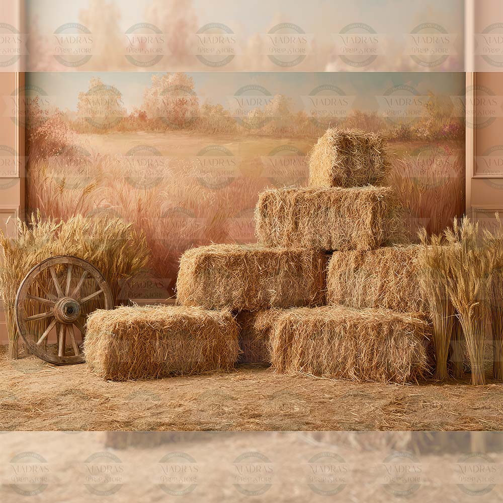 Harvest Fields :  Baby Backdrops