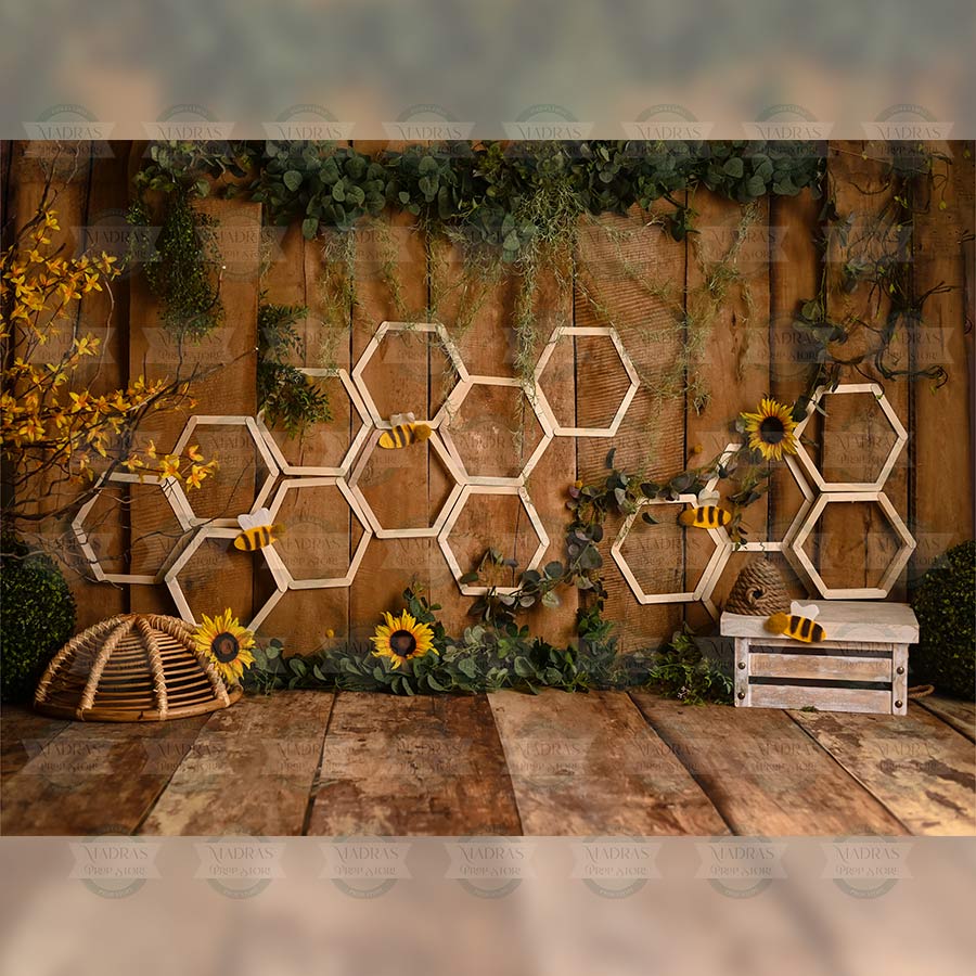 Honey Comb Panel : Baby Backdrops