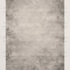 Ivory Tint - Printed Backdrop - Fabric - 8 by 12 Feet