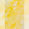 Lemon Yellow - Painted Food Backdrops