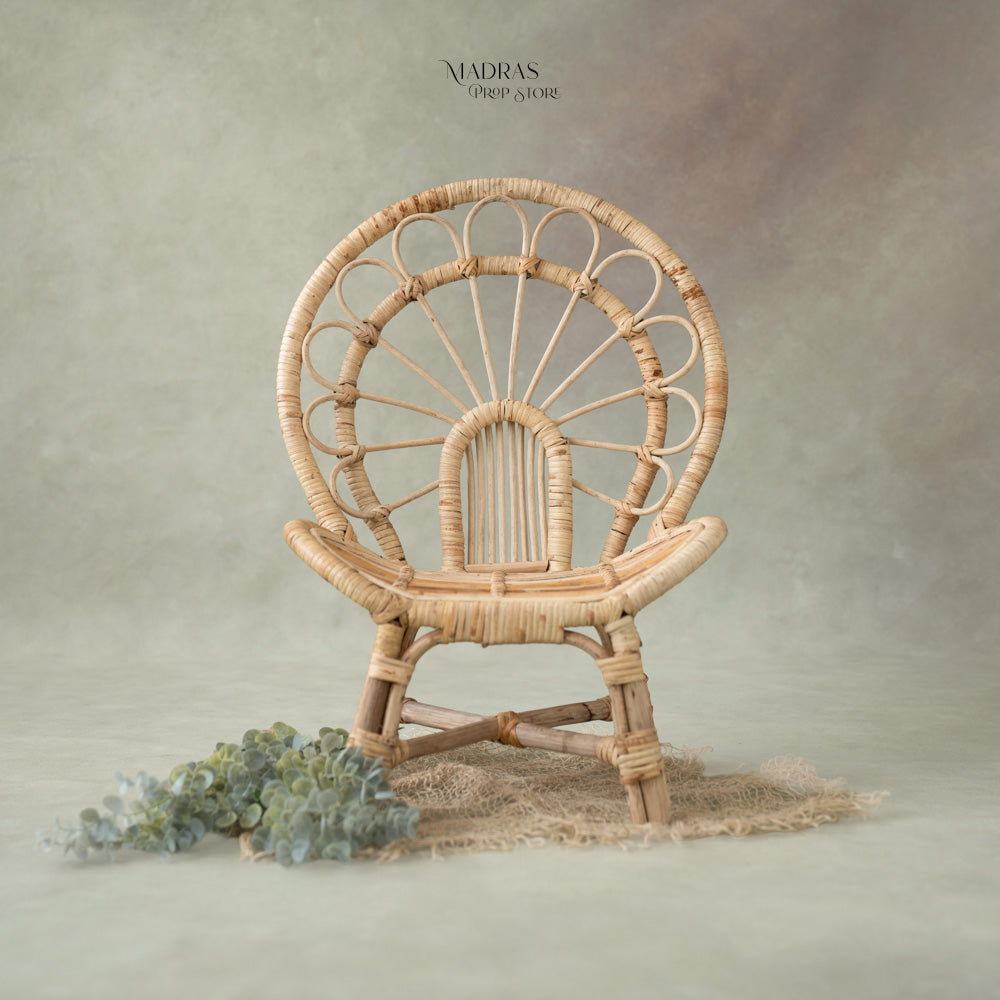 Mini Peacock Rattan Chair : Baby Props