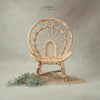 Mini Peacock Rattan Chair