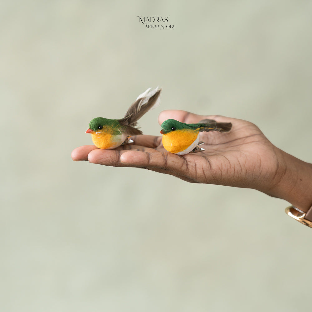 Mini Bird Set Of 2 ( Comes With Clips ) : Baby Props