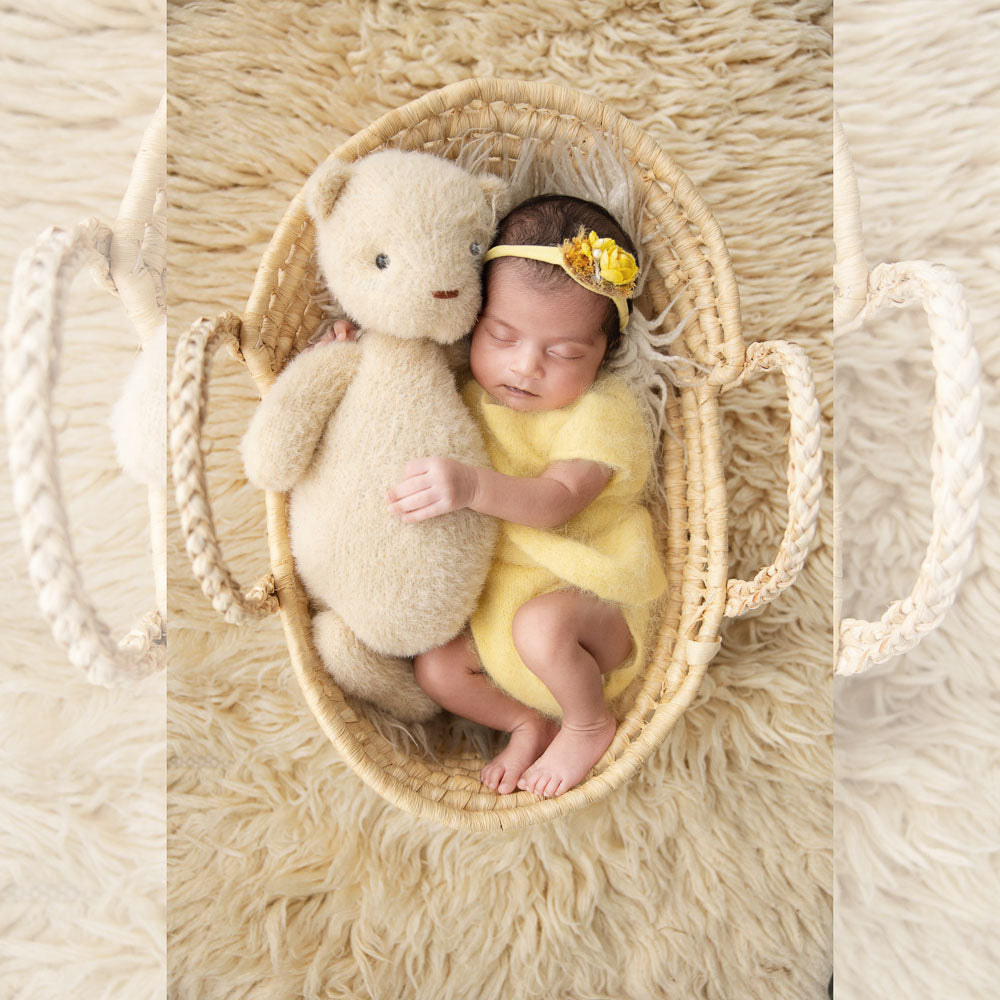Moses Basket (0-3m) : Baby Props