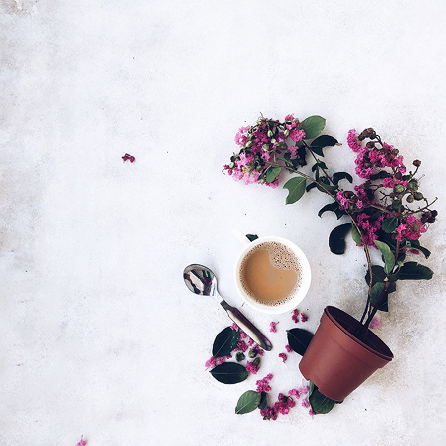 Neutral Backdrop : Food Backdrops