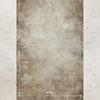 Neutral Wall - 8 by 12 feet - Backdrop - BLR-0062