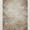 Neutral Wall - Printed Backdrop - Fabric - 8 by 12 Feet