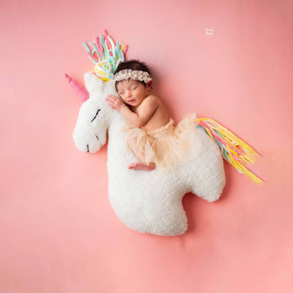 Unicorn Horse Pillow : Baby Props