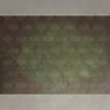 Olive Green - Printed Backdrop - Fabric - 8 by 12 feet