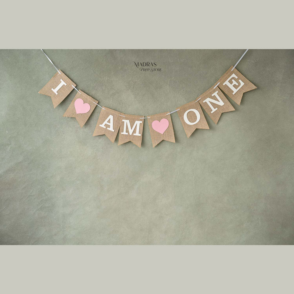 One Bunting : Baby Props