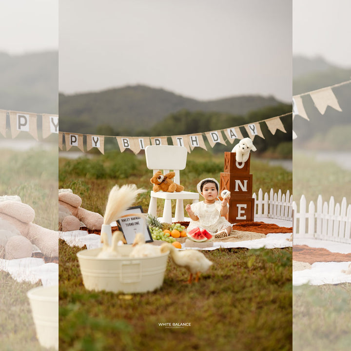 One And Two Apple Boxes  : Baby Props