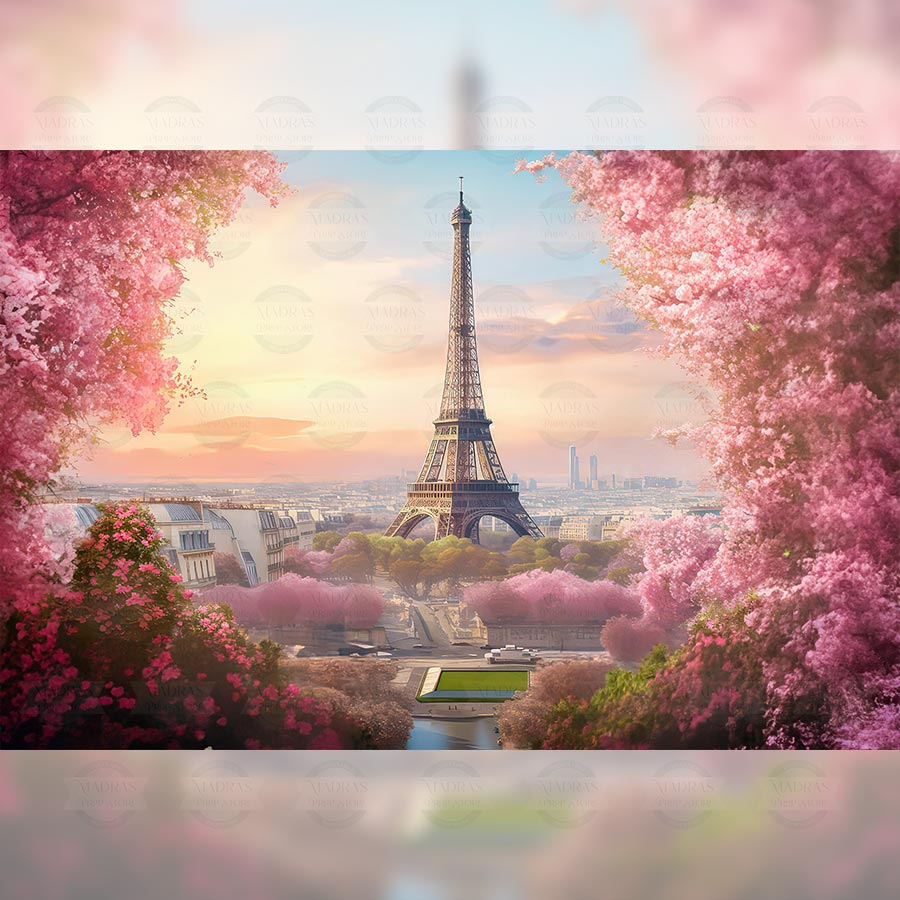 Paris - Baby Printed Backdrops