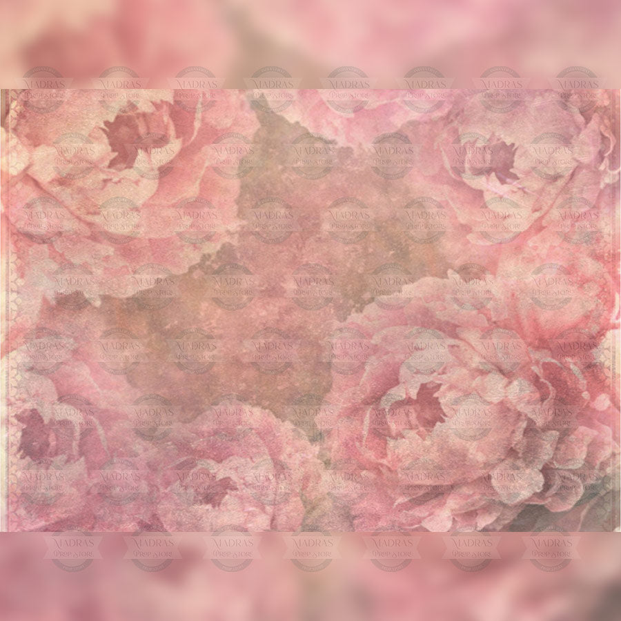 Peach Rose : Baby Backdrops