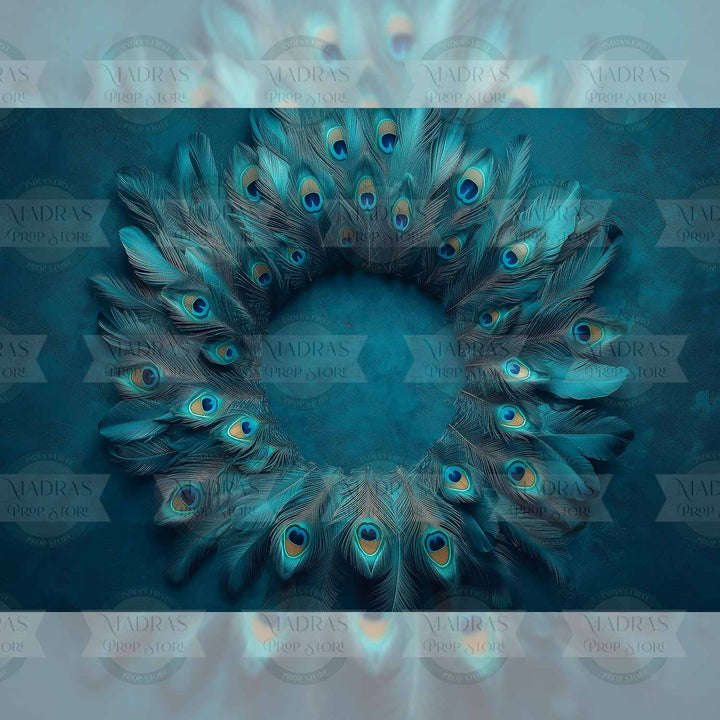 Peacock Palette : Baby Backdrops