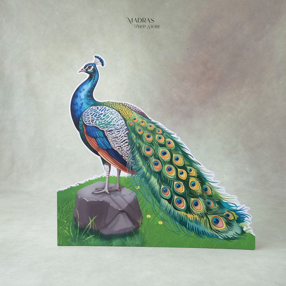 Peacock ( Cutout ) : Baby Props