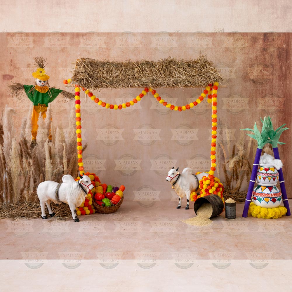 Pongal 2025 V0.1 : Baby Backdrops