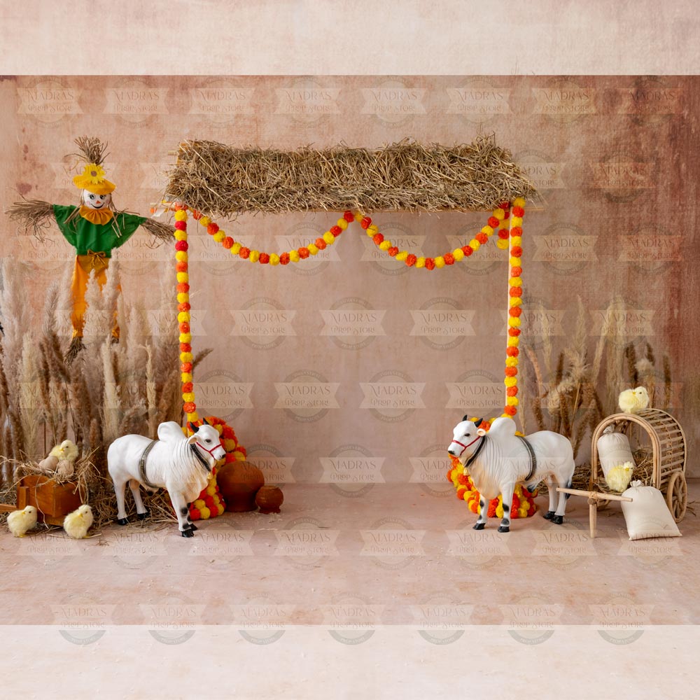 Pongal 2025 V0.2 : Baby Backdrops