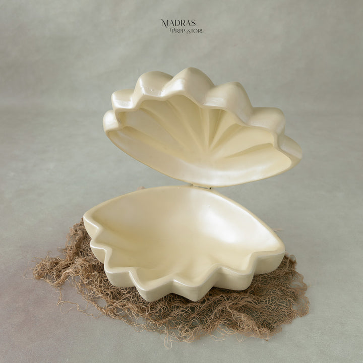 Premium Sea Shell : Baby Props