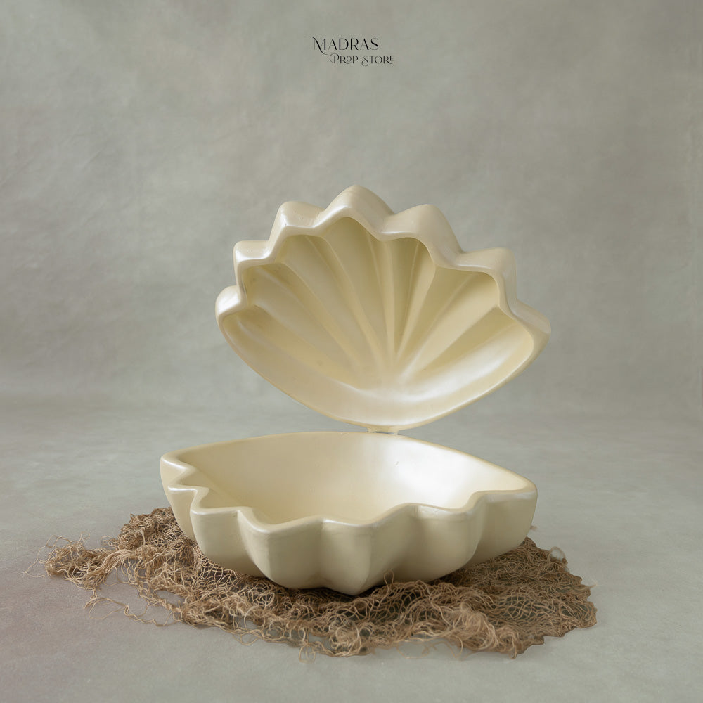 Premium Sea Shell : Baby Props