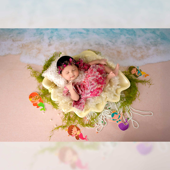 Premium Sea Shell : Baby Props