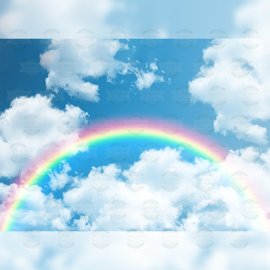Prismatic Rainbow - Printed Backdrop 