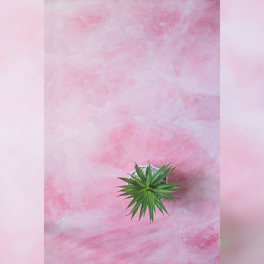 Rosey - Painted Food Backdrops