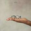 Round Newbon Sunglass ( Ultra Mini ) | 7 in cms