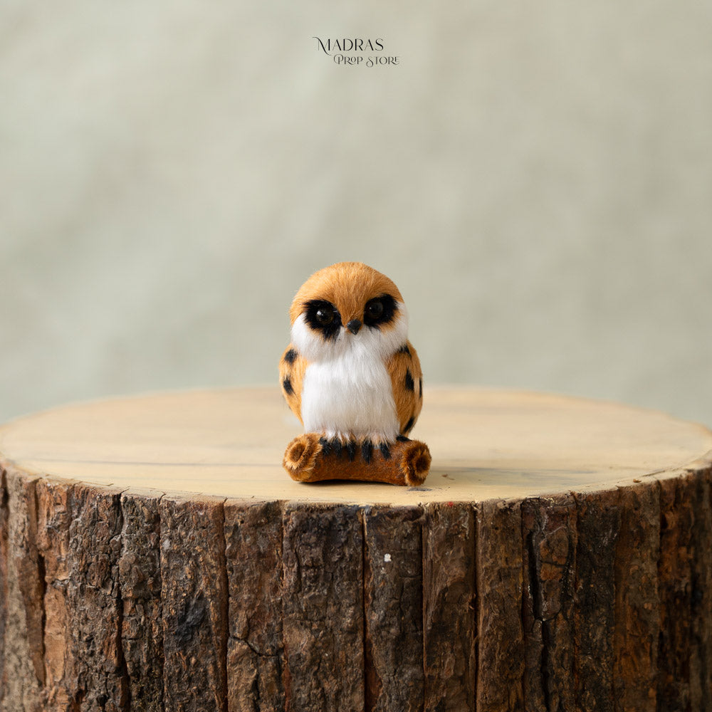 Rusty Owl : Baby Props