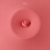 Bean Bag Set (Salmon)