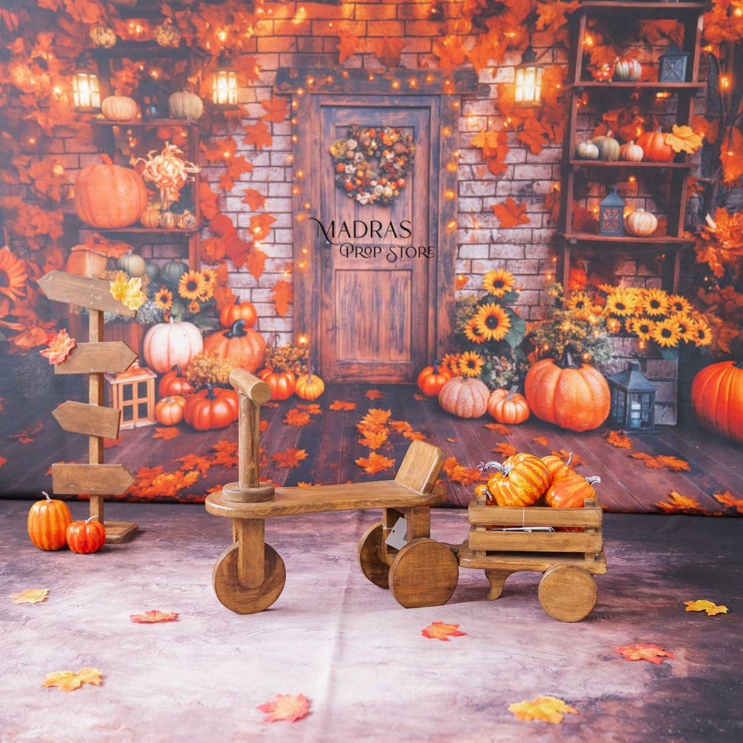 Setup - 0679 ( 17 Setups ) : Baby Props