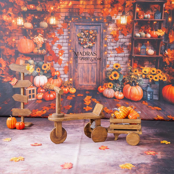 Setup - 0679 ( 17 Setups ) : Baby Props