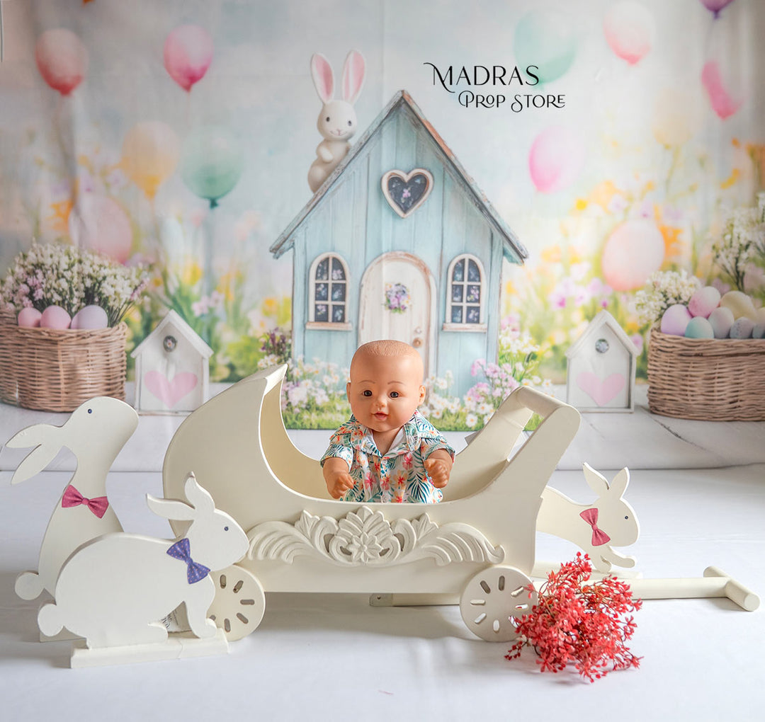 Setup - 0680 ( 18 Setups ) : Baby Props