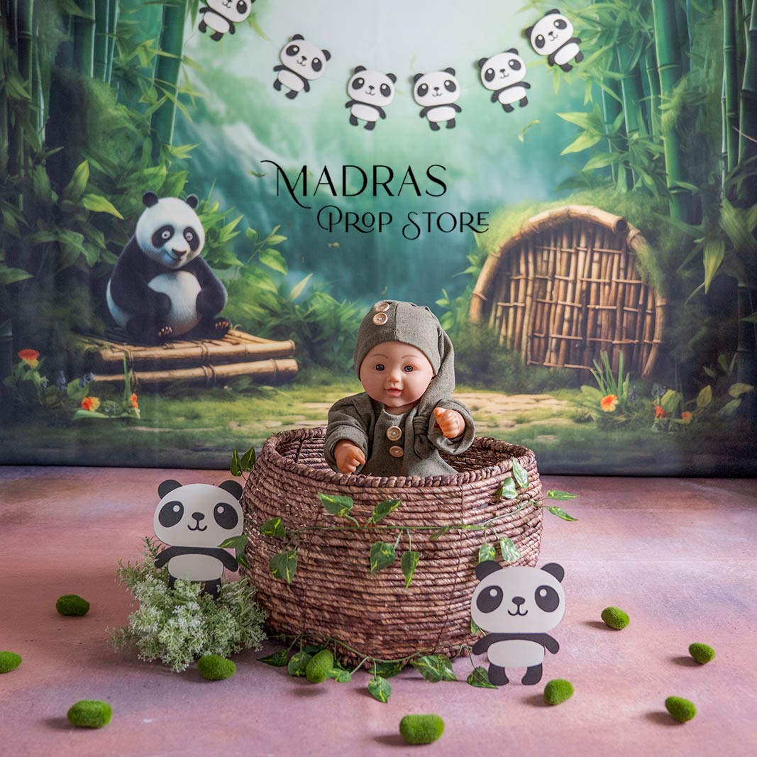 Setup - 0680 ( 18 Setups ) : Baby Props