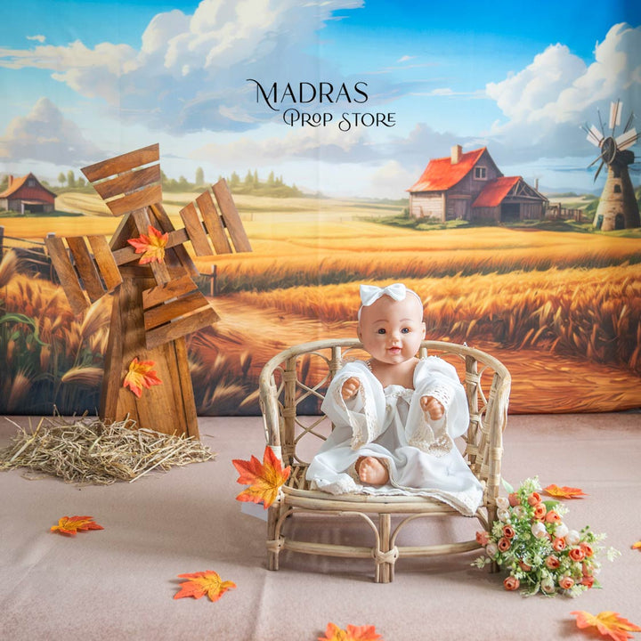 Setup - 0663 ( 18 Setups ) : Baby Props