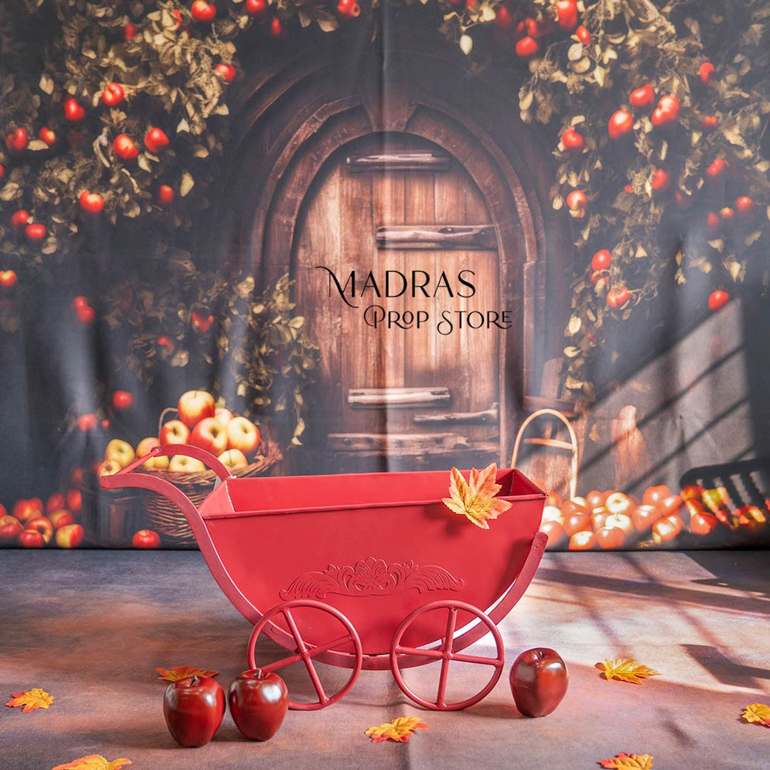 Setup - 0688 ( 18 sets ) : Baby Props